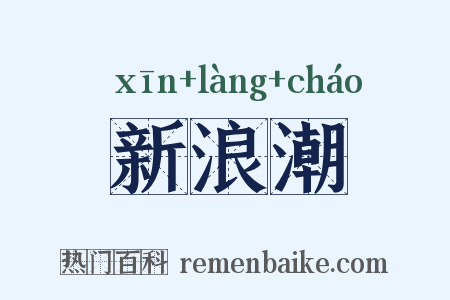 新浪潮是什么意思的图片